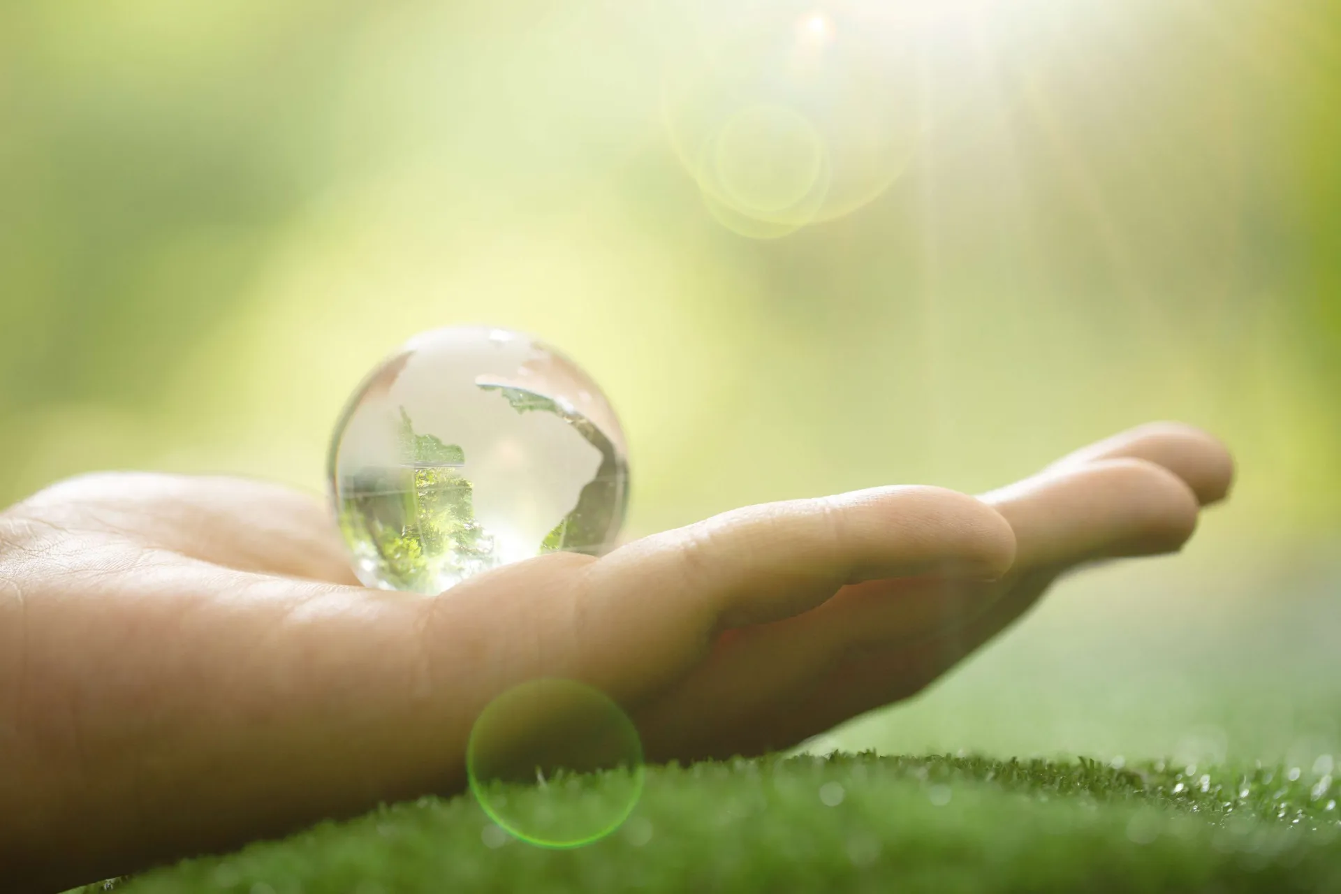 Ad Brakes: How To Reduce The Carbon Costs Of Media Campaigns
