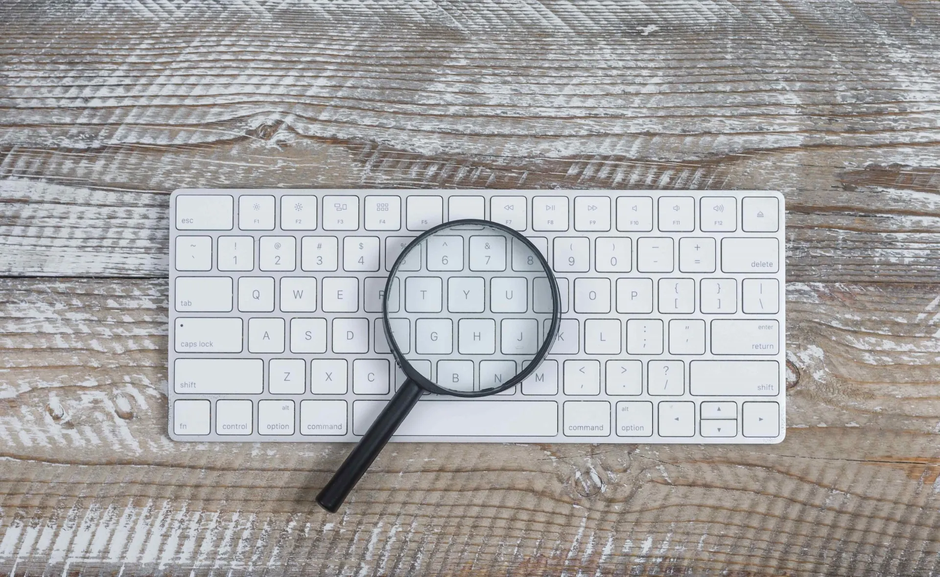Better Results: New Survey Shows Nearly Half Happier With AI-Assisted Search Results