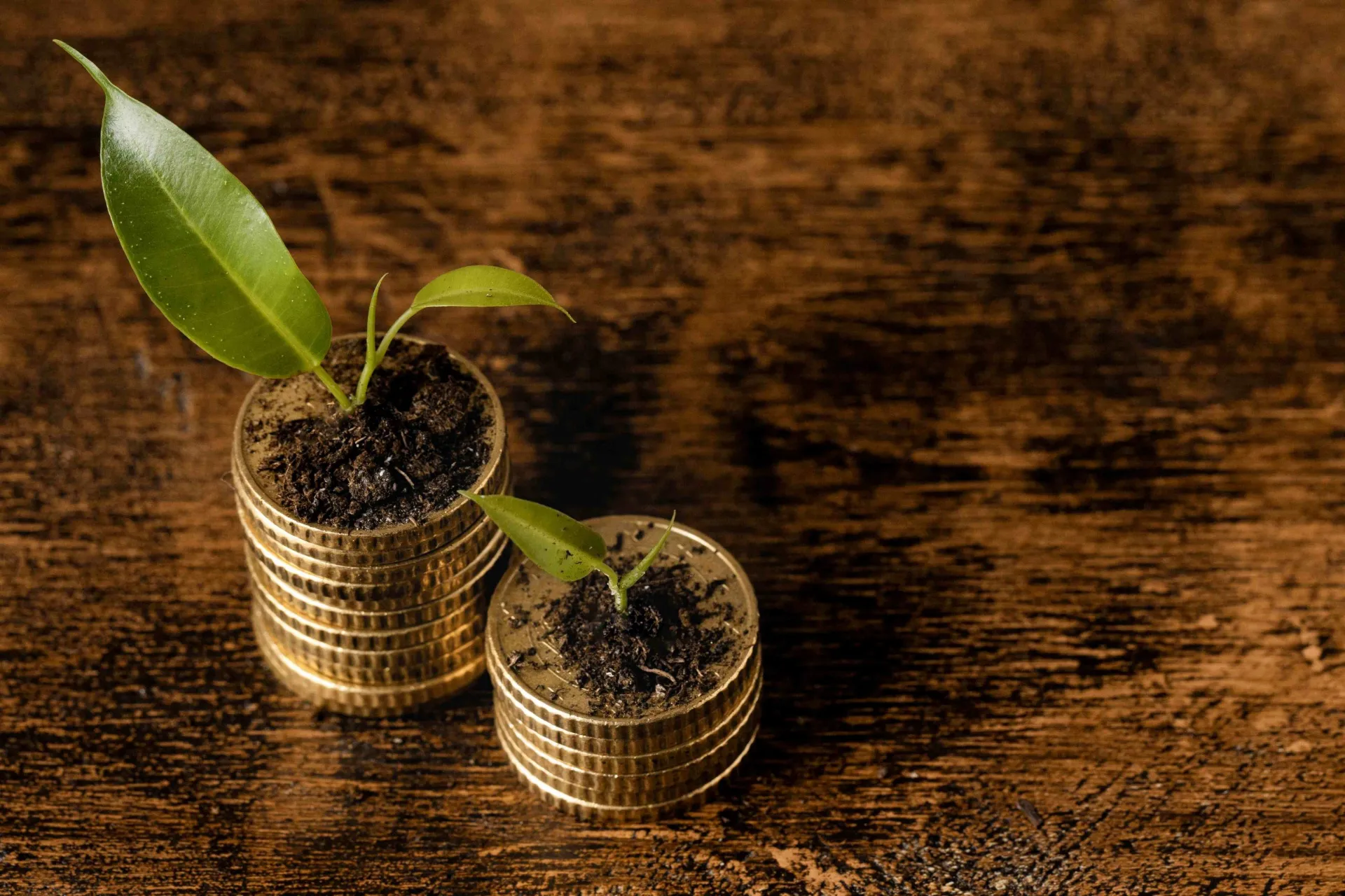 Retention ROI: How AI In Marketing Can Help Reprioritize Existing Customers
